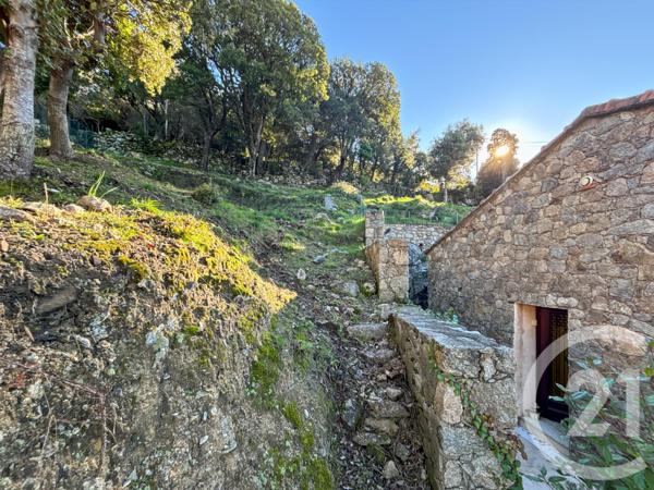 Maison à vendre  3 pièces - 81,31 m2 URTACA - 202