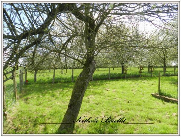 Chevillé (72350) CHEVILLE Longère de 9 pièces (5 chambres), dépendances, plan d'eau, terrain 3932 m²