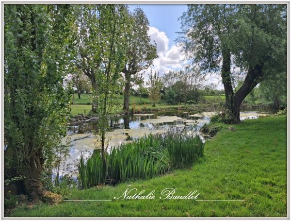 Chevillé (72350) CHEVILLE Longère de 9 pièces (5 chambres), dépendances, plan d'eau, terrain 3932 m²