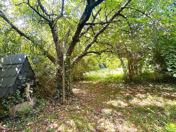 MAISON FAMILIALE RENOVEE, GRAND JARDIN EN ESPALIER, A DEUX PAS DE LA GARE ET DES COMMODITES