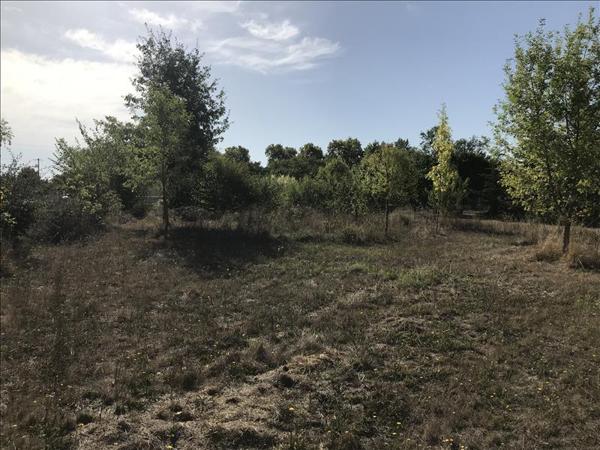 Terrain à vendre |  Castelsarrasin |  978 m²