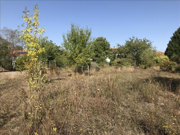 Terrain à vendre |  Castelsarrasin |  978 m²