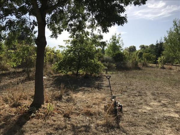 Terrain à vendre |  Castelsarrasin |  978 m²