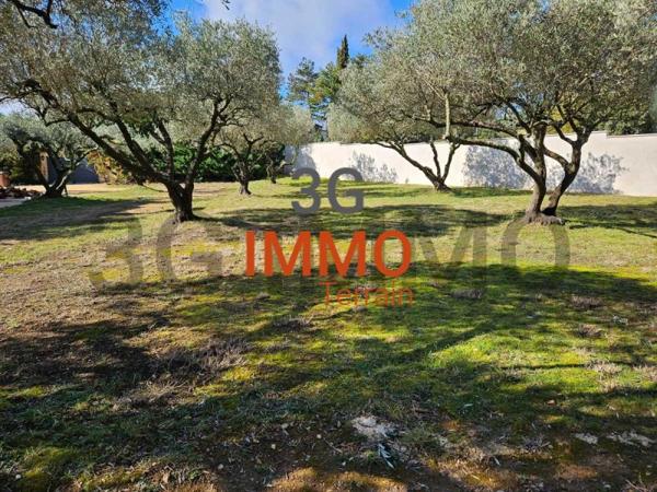 Vente / Terrain constructible