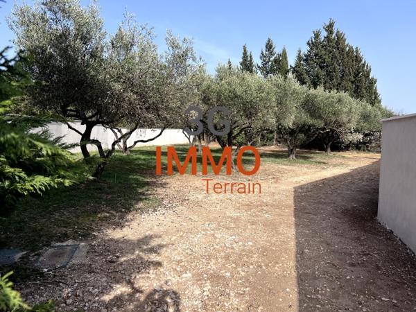 Vente / Terrain constructible