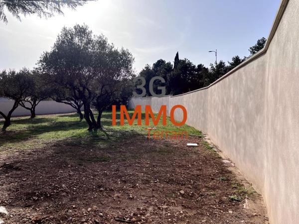 Vente / Terrain constructible