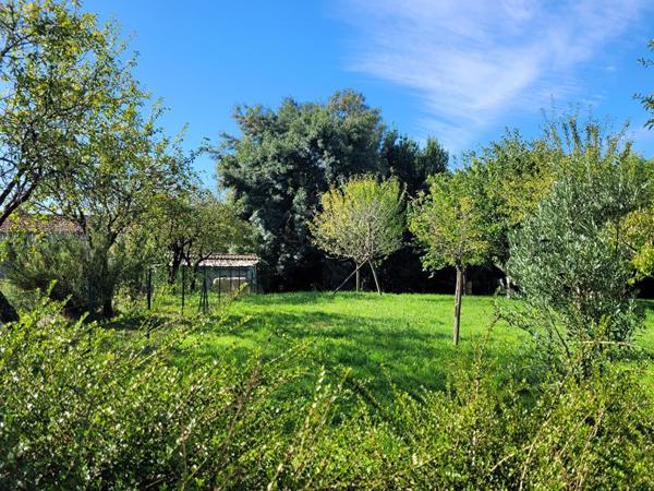 TONNAY CHARENTE maison bourgeoise de 163 m² et grange réhabilitée de 80 m² sur parcelle de 1682 m²