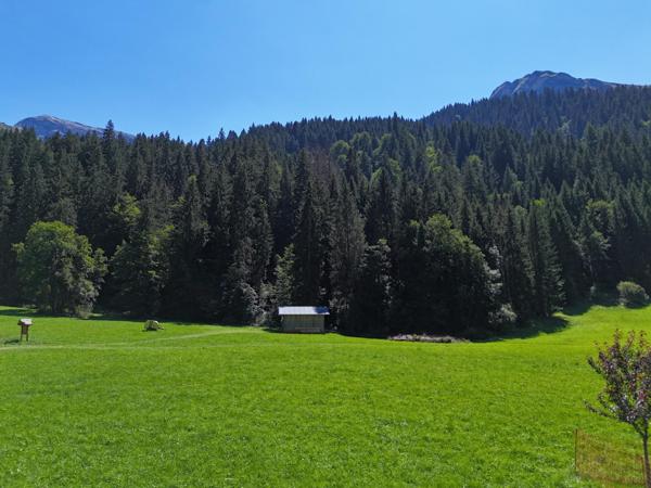 Maison à vendre  8 pièces - 203 m2 MORZINE - 74