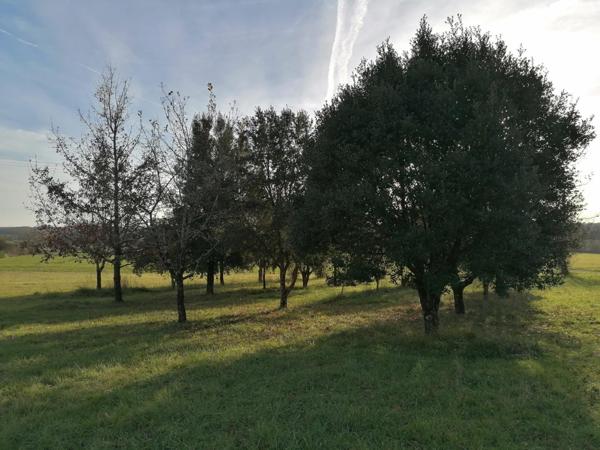 Idéal investissement locatif ou regroupement familial