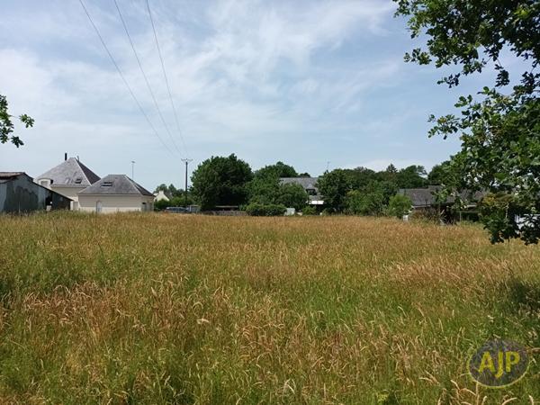 Vente terrain Questembert : 124 600 € - AJP Immobilier Questembert