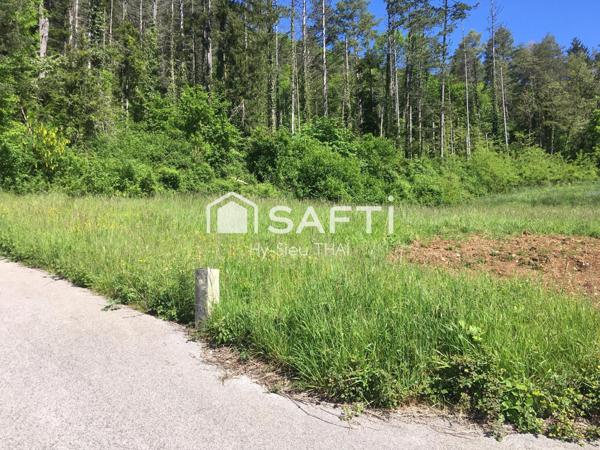 TERRAIN de 917 m2, (Droite) constructibles, viabilisé,  (39240 THOIRETTE)