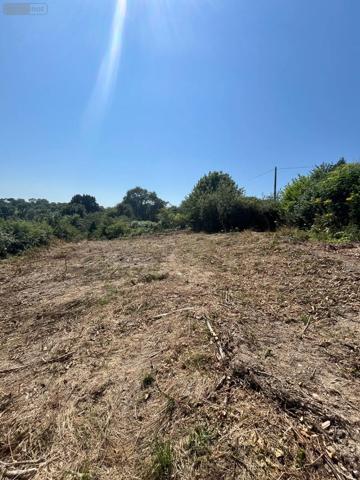 Achat - Terrain à bâtir Équeurdreville-Hainneville 50120 887 m 2