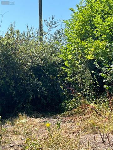 Achat - Terrain à bâtir Équeurdreville-Hainneville 50120 887 m 2