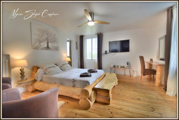 propriete à vendre 11 pièces proche de PONTONX-SUR-L'ADOUR (40)MAISON DE MAITRE DE 450 M² ET SES DEPENDANCES