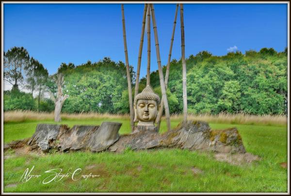 propriete à vendre 11 pièces proche de PONTONX-SUR-L'ADOUR (40)MAISON DE MAITRE DE 450 M² ET SES DEPENDANCES