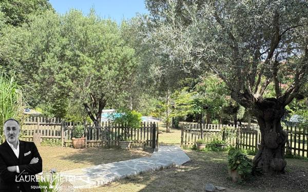 Propriété de charme en pierre à Barbaggio