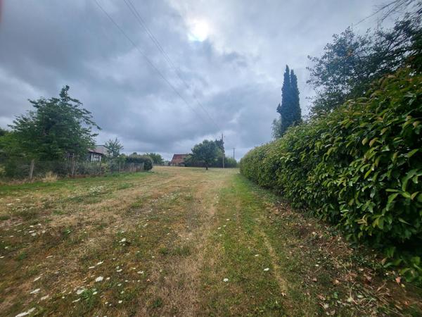 Terrain avec piscine chauffée et dépendances