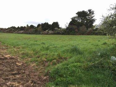 Terrain de loisirs - Bois - Etang à vendre à Plouhinec dans le Finistère (29780), ref : 29021-TB00461