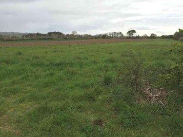 Terrain de loisirs - Bois - Etang à vendre à Plouhinec dans le Finistère (29780), ref : 29021-TB00461