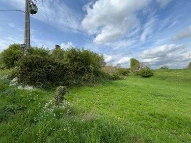 Bois à vendre à Saint-Senier-de-Beuvron dans la Manche (50240), ref : 12541/2174