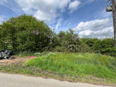 Bois à vendre à Saint-Senier-de-Beuvron dans la Manche (50240), ref : 12541/2174