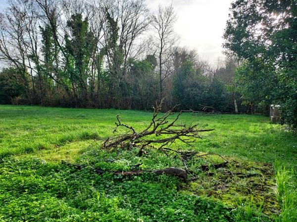 Terrain à bâtir proche du bourg du château de 849 m2