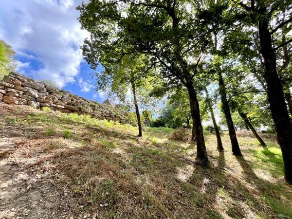 Terrain à vendre |  Malemort-sur-Corrèze |  1406 m²