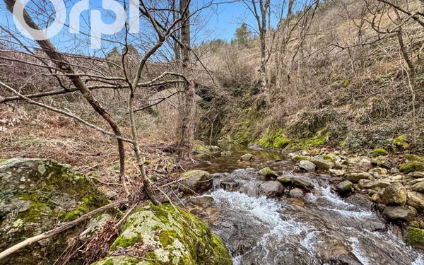 Maison à vendre    6 pièces •  Chassiers