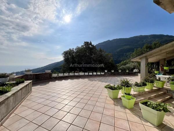 Vente Maison 12 pièces 381 m2 à San-Martino-Di-Lota