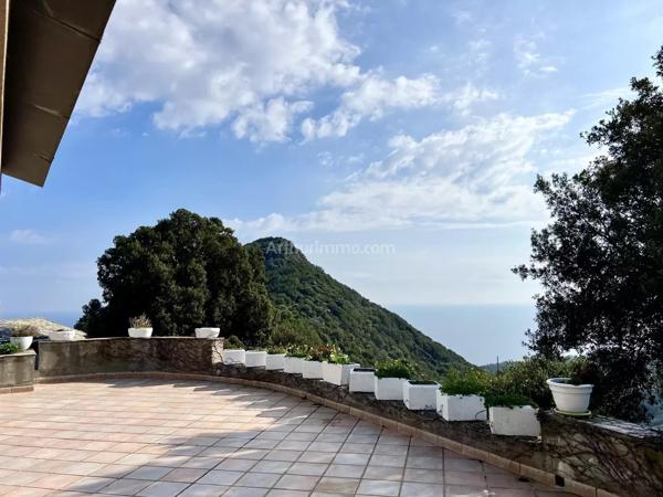 Vente Maison 12 pièces 381 m2 à San-Martino-Di-Lota