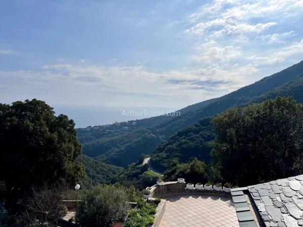 Vente Maison 12 pièces 381 m2 à San-Martino-Di-Lota