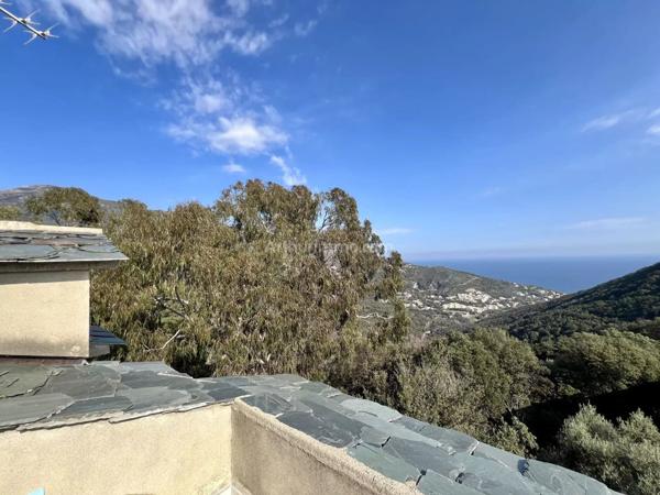 Vente Maison 12 pièces 381 m2 à San-Martino-Di-Lota