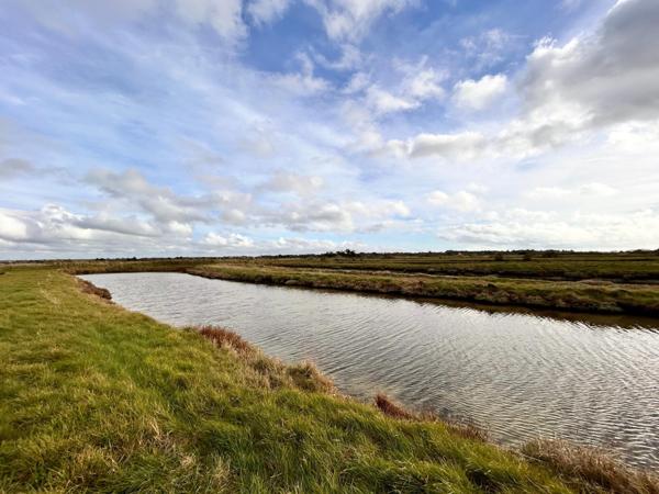 Terrain de loisirs – 8 530 m² – Saint-Hilaire-de-Riez