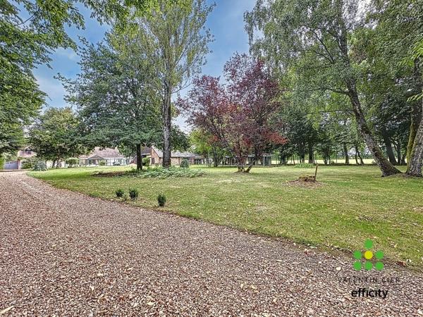 Local Commercial 9 pièces - 260 m² Exclusivité efficity