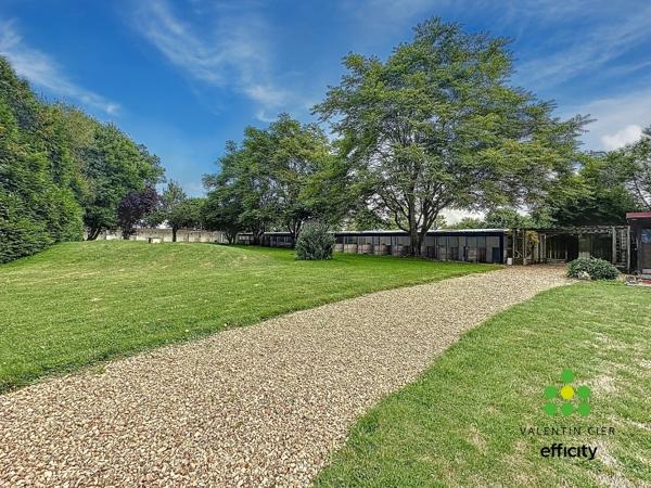 Local Commercial 9 pièces - 260 m² Exclusivité efficity