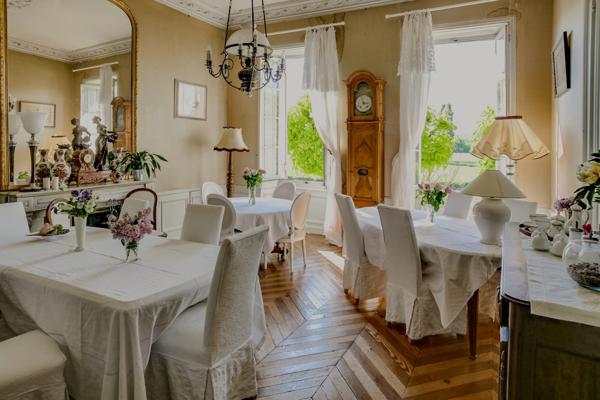 Hôtel particulier sur la ville de Saintes (17) Saintes (17100)