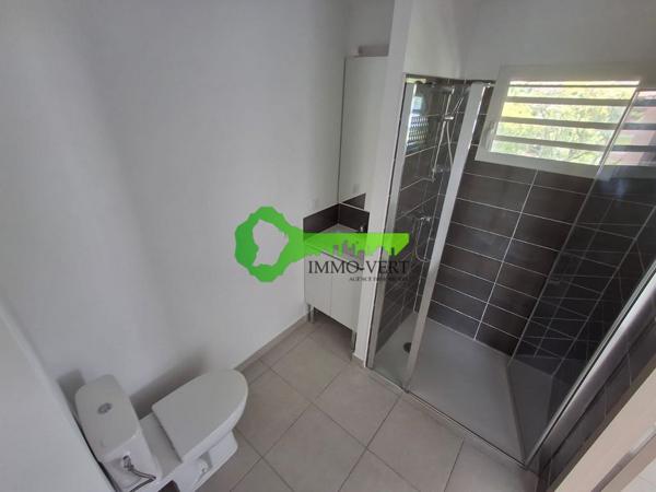 Appartement T1 à Cayenne | Immo-Vert