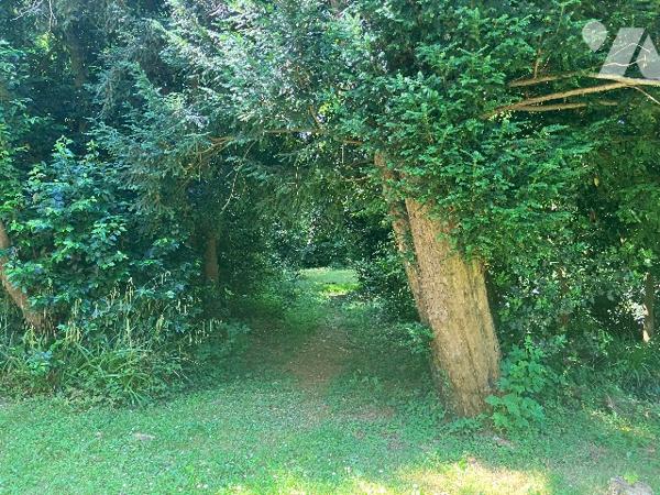 Appartement de caractère T4 rez-de-jardin dans une belle maison bourgeoise.