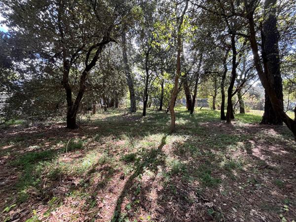 SOULAC à deux pas de l'océan, un charme rare à découvrir ! Soulac sur mer