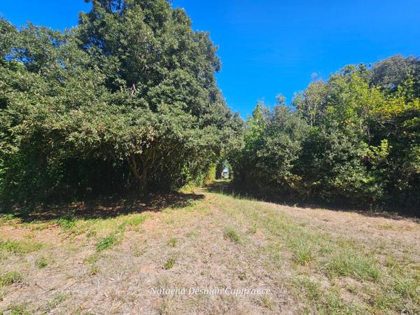 PROJET D’ENVERGURE À SOULAC-SUR-MER , Maison historique à rénover avec 36 384 m2 de foncier ,