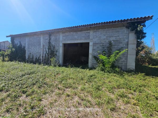 PROJET D’ENVERGURE À SOULAC-SUR-MER , Maison historique à rénover avec 36 384 m2 de foncier ,