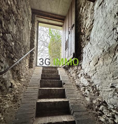 Vente / Maison en pierre