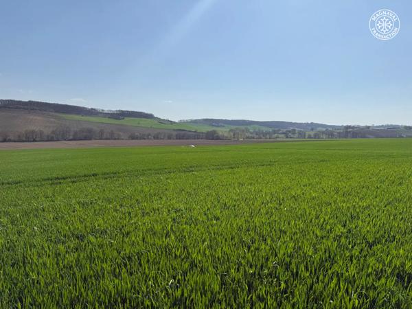 Beaumont-de-Lomagne (82500) 58 hectares de terres grandes cultures irrigables 82 Occitanie