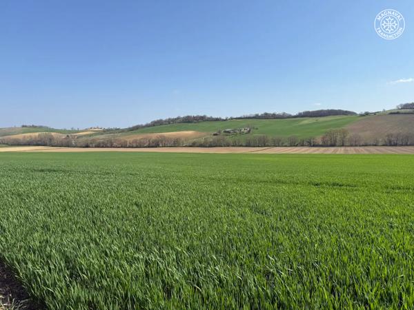 Beaumont-de-Lomagne (82500) 58 hectares de terres grandes cultures irrigables 82 Occitanie