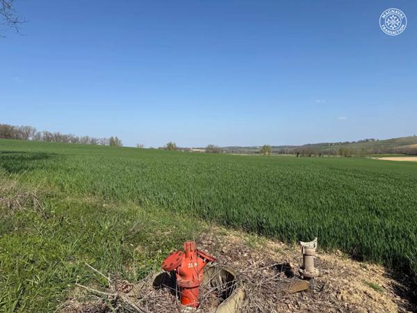 Beaumont-de-Lomagne (82500) 58 hectares de terres grandes cultures irrigables 82 Occitanie