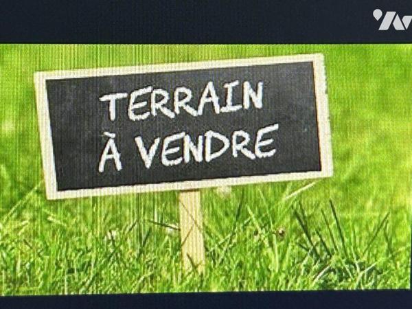 NOIRMOUTIER, L'HERBAUDIERE