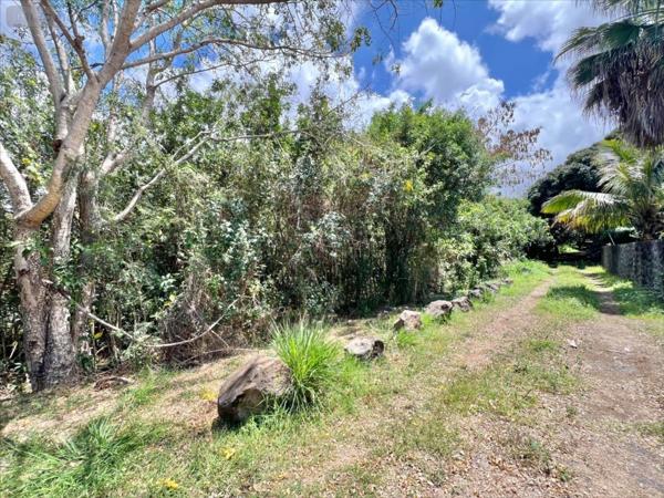 Terrain à Batir à vendre à Entre-Deux à la Réunion (97414), ref : 40334