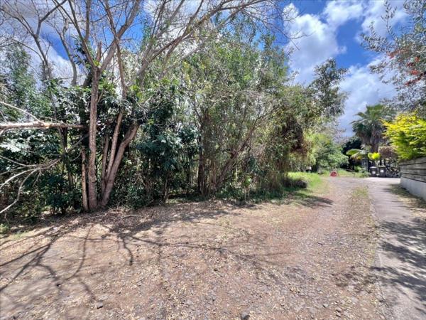 Terrain à Batir à vendre à Entre-Deux à la Réunion (97414), ref : 40334