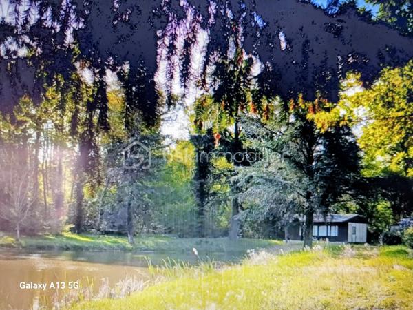 Terrain de loisirs de 45 089 m²