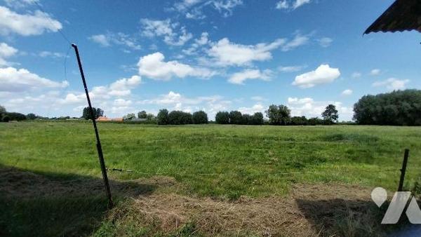 CORPS DE FERME - Campagne de Nieppe

A rénover complétement, ce corps de ferme est implanté s...